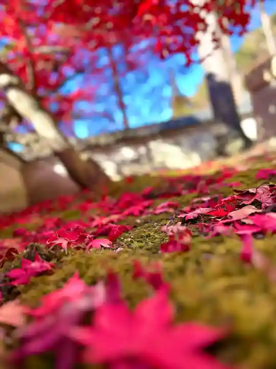 清水寺(長野県)