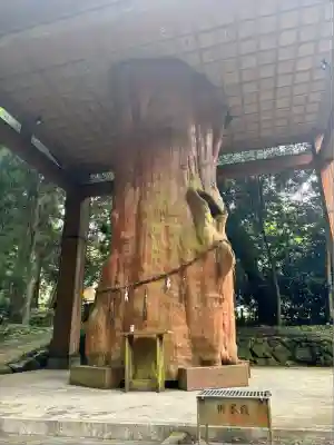 国造神社(熊本県)