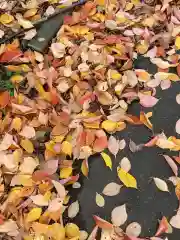 上川神社頓宮の自然