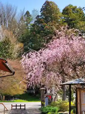 月心院(福島県)
