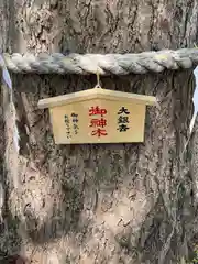 田無神社(東京都)