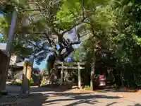 二郎林神社(千葉県)