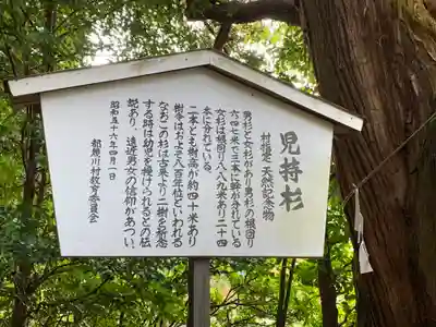萩日吉神社のその他建物