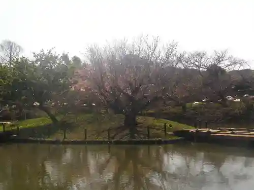 鶴岡八幡宮の庭園