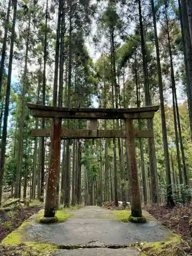 賀茂神社(京都府)