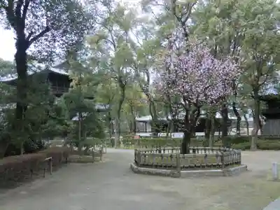 聖福寺(福岡県)