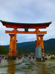 厳島神社の鳥居