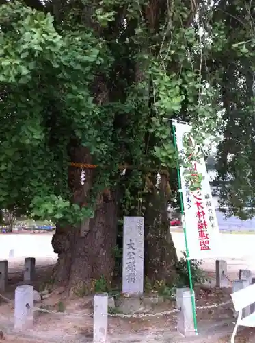 吉備津神社の自然