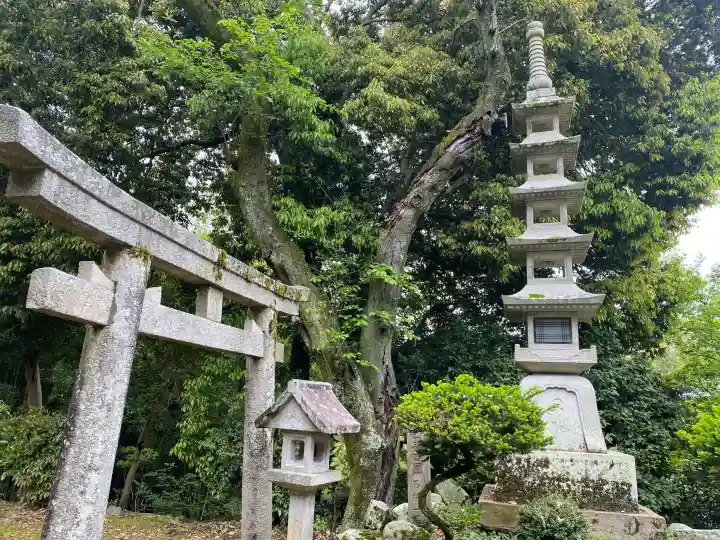 多聞院の{uncategorized: "未分類", other: "その他", undefined: "問題あり", building: "その他建物", grave: "お墓", sacred_gate: "鳥居", guardian: "狛犬", statue: "像", buddha: "仏像", history: "歴史", nature: "自然", garden: "庭園", animal: "動物", pagoda: "塔", temizu: "手水舎", mountain_gate: "山門・神門", sanctuary: "本殿・本堂", subordinate: "末社・摂社", art: "芸術", scenery: "景色", jizo: "地蔵", ema: "絵馬", goshuin: "御朱印", omikuji: "おみくじ", items: "授与品その他", amulet: "お守り", goshuincho: "御朱印帳", eats: "食事", festival: "お祭り", votive_dance: "神楽", shichigosan: "七五三参", wedding: "結婚式", experience: "体験その他", initially: "初詣", around: "周辺", anti_infection: "感染症対策"}