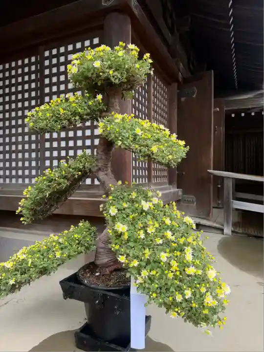 武蔵一宮氷川神社(埼玉県)