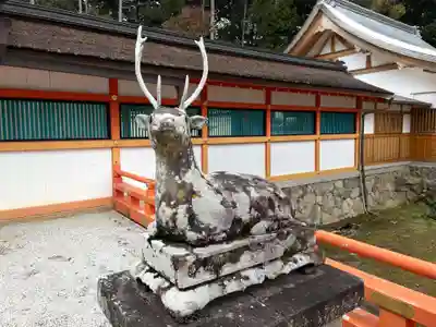 大原野神社の狛犬