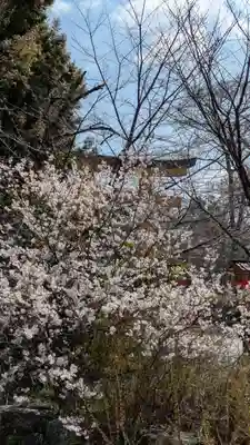 平野神社(京都府)