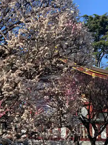 薭田神社の自然