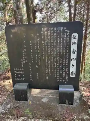 太龍寺奥の院 舎心ヶ嶽(徳島県)