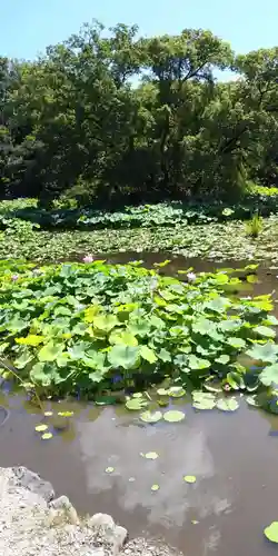 勧修寺の庭園