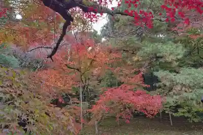 龍安寺(京都府)