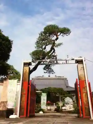 長善寺(東京都)