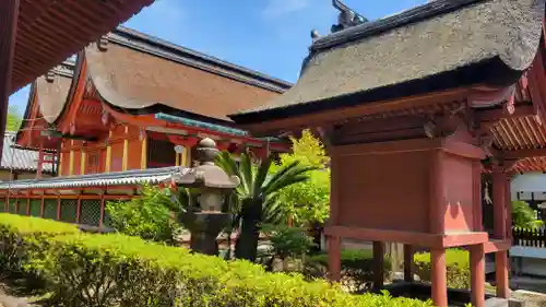 伊佐爾波神社(愛媛県)