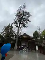 大國魂神社(東京都)