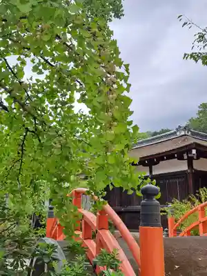 賀茂御祖神社（下鴨神社）(京都府)