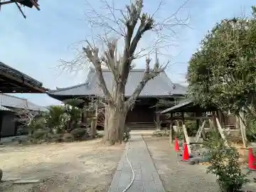 専光寺(滋賀県)