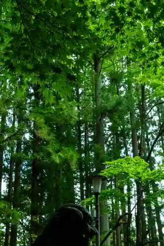 戸隠神社宝光社(長野県)