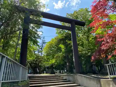 北広島市総鎮守 廣島神社の鳥居