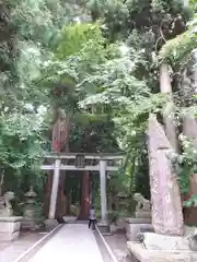 十和田神社の鳥居