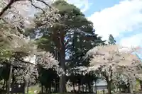 大原観音堂の自然