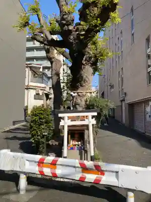 白光大神 の{uncategorized: "未分類", other: "その他", undefined: "問題あり", building: "その他建物", grave: "お墓", sacred_gate: "鳥居", guardian: "狛犬", statue: "像", buddha: "仏像", history: "歴史", nature: "自然", garden: "庭園", animal: "動物", pagoda: "塔", temizu: "手水舎", mountain_gate: "山門・神門", sanctuary: "本殿・本堂", subordinate: "末社・摂社", art: "芸術", scenery: "景色", jizo: "地蔵", ema: "絵馬", goshuin: "御朱印", omikuji: "おみくじ", items: "授与品その他", amulet: "お守り", goshuincho: "御朱印帳", eats: "食事", festival: "お祭り", votive_dance: "神楽", shichigosan: "七五三参", wedding: "結婚式", experience: "体験その他", initially: "初詣", around: "周辺", anti_infection: "感染症対策"}