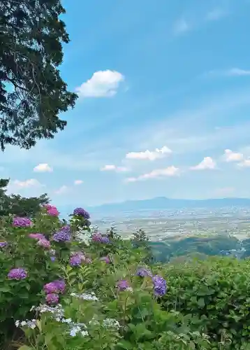 善峯寺(京都府)