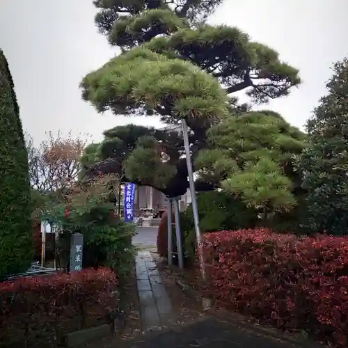 長昌寺のその他建物