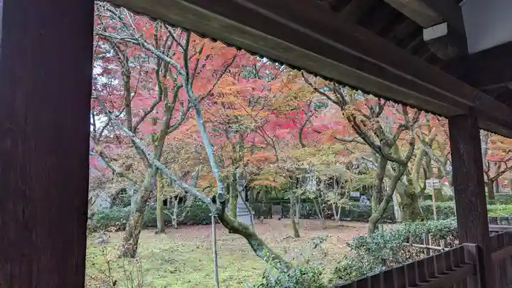 真正極楽寺(真如堂)(京都府)