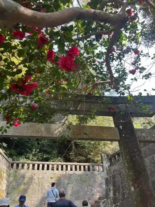 久能山東照宮の{uncategorized: "未分類", other: "その他", undefined: "問題あり", building: "その他建物", grave: "お墓", sacred_gate: "鳥居", guardian: "狛犬", statue: "像", buddha: "仏像", history: "歴史", nature: "自然", garden: "庭園", animal: "動物", pagoda: "塔", temizu: "手水舎", mountain_gate: "山門・神門", sanctuary: "本殿・本堂", subordinate: "末社・摂社", art: "芸術", scenery: "景色", jizo: "地蔵", ema: "絵馬", goshuin: "御朱印", omikuji: "おみくじ", items: "授与品その他", amulet: "お守り", goshuincho: "御朱印帳", eats: "食事", festival: "お祭り", votive_dance: "神楽", shichigosan: "七五三参", wedding: "結婚式", experience: "体験その他", initially: "初詣", around: "周辺", anti_infection: "感染症対策"}