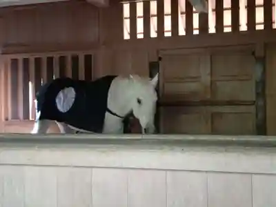 伊勢神宮外宮（豊受大神宮）(三重県)