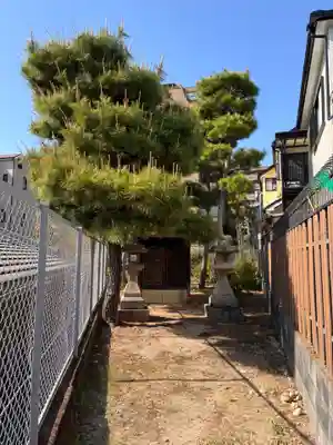 愛宕神社の本殿・本堂