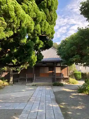 實相寺（実相寺）の本殿・本堂