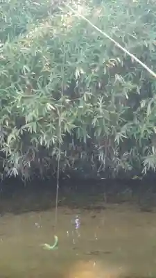 常堅寺(岩手県)