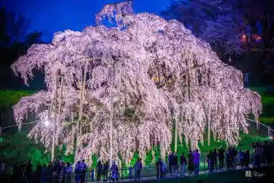 稲荷神社(福島県)