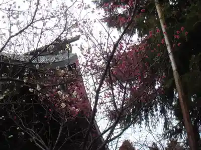 常陸第三宮 吉田神社(茨城県)