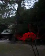 春日神社(神奈川県)