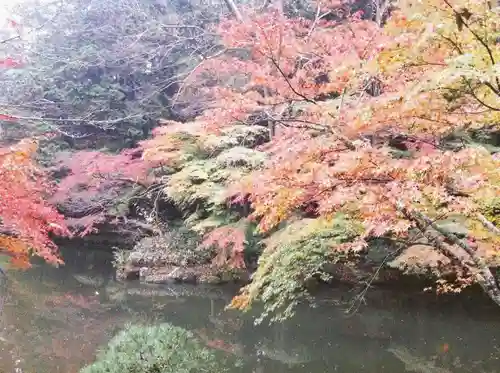 成田山新勝寺の自然