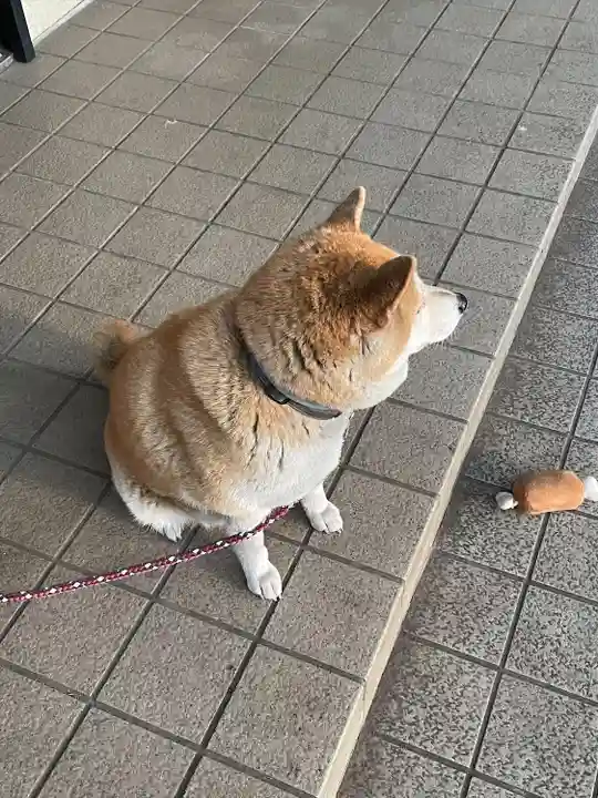 笠䅣稲荷神社(神奈川県)