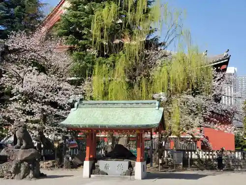 浅草神社(東京都)