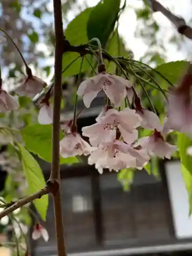 花巻神社の自然