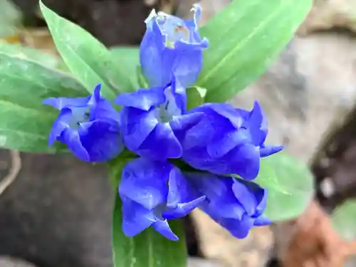 禰固岳神社(長野県)
