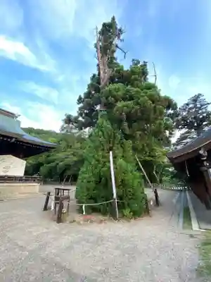 吉備津彦神社(岡山県)
