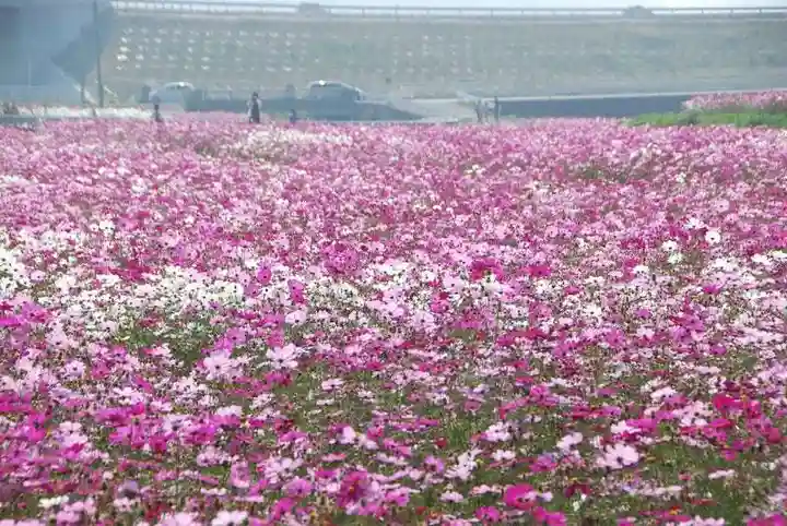 箭山神社上宮(大分県)