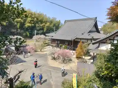 正法院の本殿・本堂