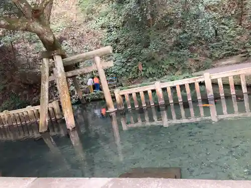 鹿島神宮(茨城県)